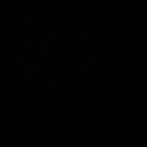 Meet your Posher, Mauricio